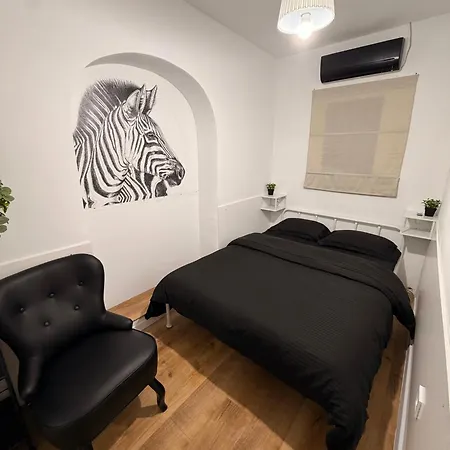 Zebra * Bucarest